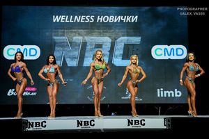 WELLNESS НОВИЧКИ